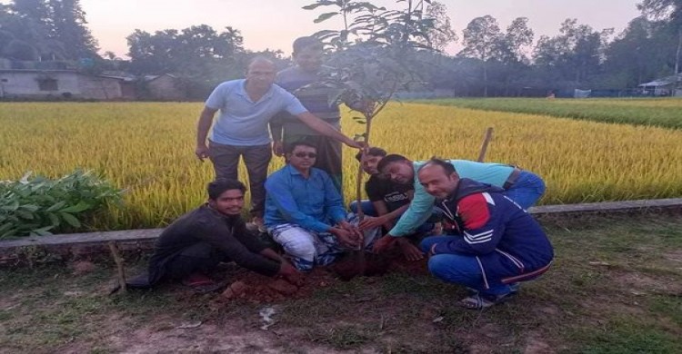 ঘোড়াঘাটে ঐতিহাসিক বিপ্লব ও সংহতি দিবস উপলক্ষে বৃক্ষ রোপন কর্মসূচি