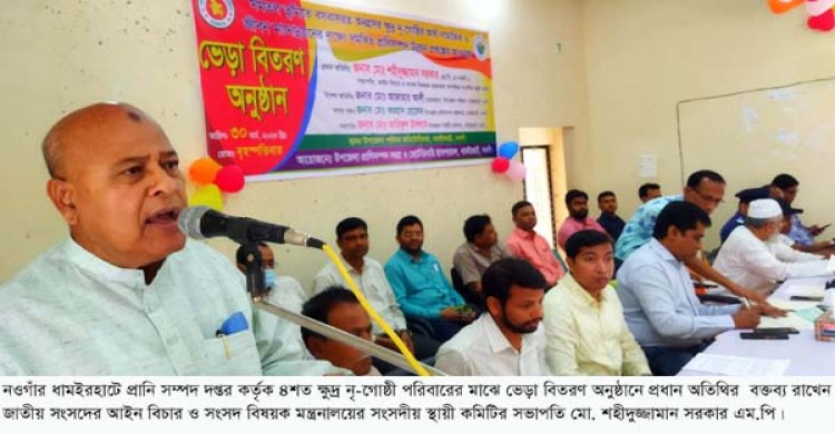 ধামইরহাটে প্রাণিসম্পদ দপ্তর কর্তৃক ৪শত ক্ষুদ্র নৃ-গোষ্ঠী পরিবারের মাঝে ভেড়া বিতরণ